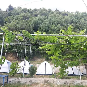  Tente de luxe Jungle In Albanie